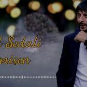 Tural Sedalı 2024