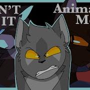 I Don T Get It Animation Meme