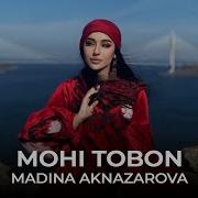 Мохи Тобон