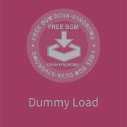 Dummy Load Shimtone
