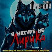Фасон Пули