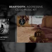 Beartooth Aggressive Cs Go