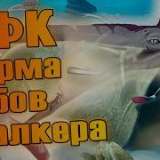Сталкер Зуб За Зуб
