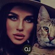 Aasha