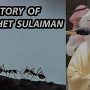 Sulaiman Qur