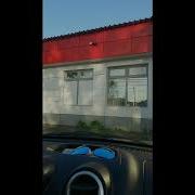 Нежная Роза В Розовом Саду