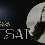 Ermi Kulit Sesal