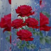 Согинч Хакида Шер