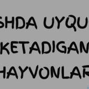 Qishda Uxlaydigan Hayvonlar