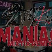 Stray Kids Remix