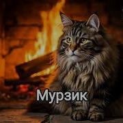 De Navigation Überspringen Suchen Anmelden Мурзик Красивая Песенка Про Кота