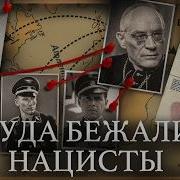 Минаев Нацисты