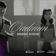 Hesen Aydin