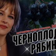 Черноплодная Рябина Sevenrose И Антонина Шейер