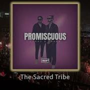 Promiscuous Extended Mix Afro Edit Lukas Frank