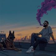 Just Us On This Roof