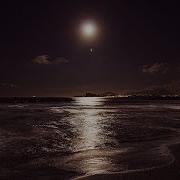 The Ambientalist Under The Moonlight