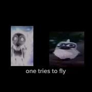 Two Birds On A Wire Meme