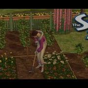 The Sims 2 Longplay No Commentary