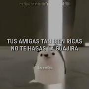 Maldito Alcohol Meme