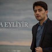 Vida Eyliyir