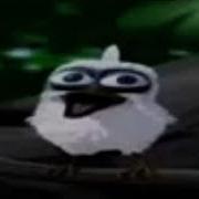Bird Screaming Meme