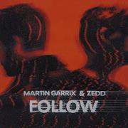 Follow Martin Garrix Zedd