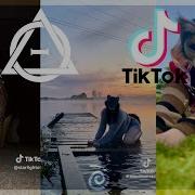 Therian Tiktok