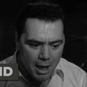 Marty 1955