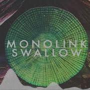 Monolink Swallow Original Mix