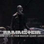 Rammlied Live