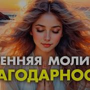 Илая Дар