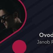 Ovodan Ovodan