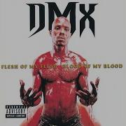 Dmx Dogs For Life