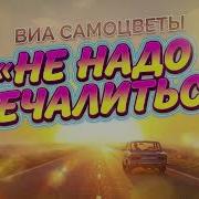 Не Надо Печалится Виа Самоцветы Ai Cover