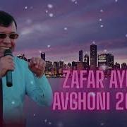 Зафар Аюби 2026