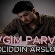 Жалолиддин Тоухонани Толдириб