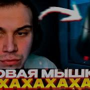 Смех Ростика Кишки Сквад