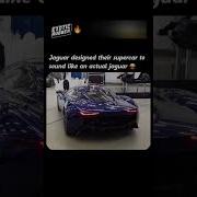 Jaguar Sounds