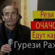 Кури Грез