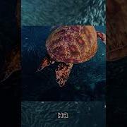 Море