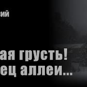 Песни На Стихи Фета