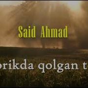 Said Ahmad Tanlangan Asarlar