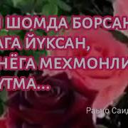 Раъно Саидзода