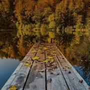 Красная Плесень Осень