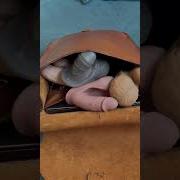 Penis