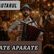 Fane Lăutaru Cover