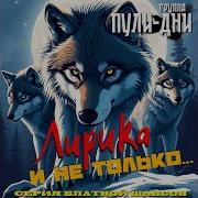 Туман Пули