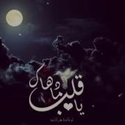 Ya Qalbu Nasheed