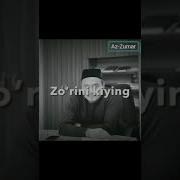 Shukurullo Domal